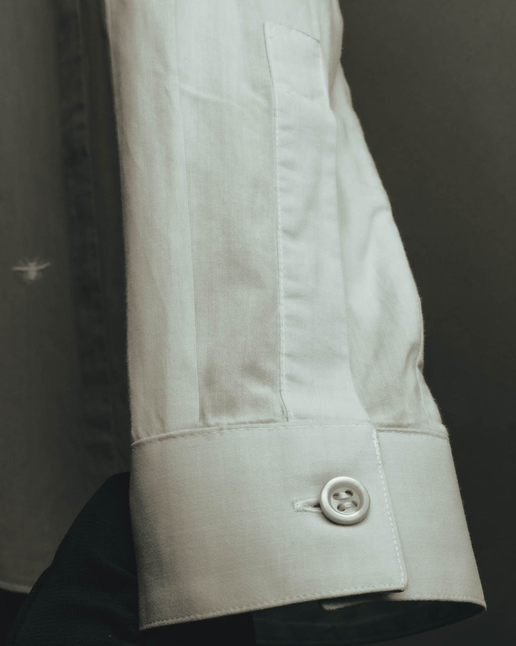 "Dior" Minimal bee embroidered long sleeve dress shirt