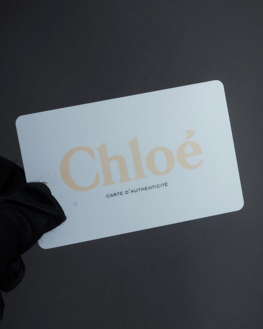 "Chloe" Georgia double flap design leather bag