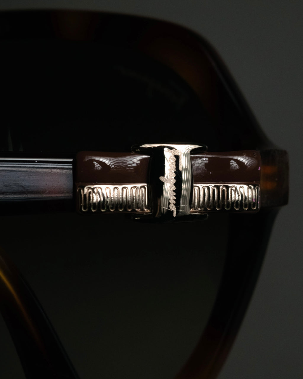 “Salvatore Ferragamo” 2010’s Havana acetate oversized sunglasses