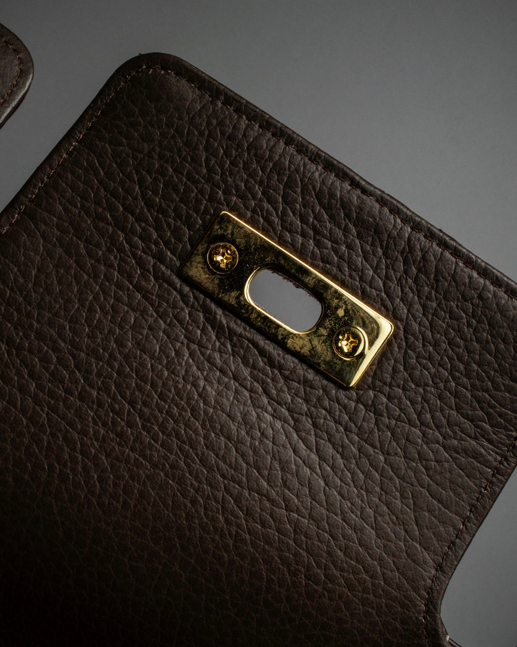 "Vintage turnlock design python leather bag"