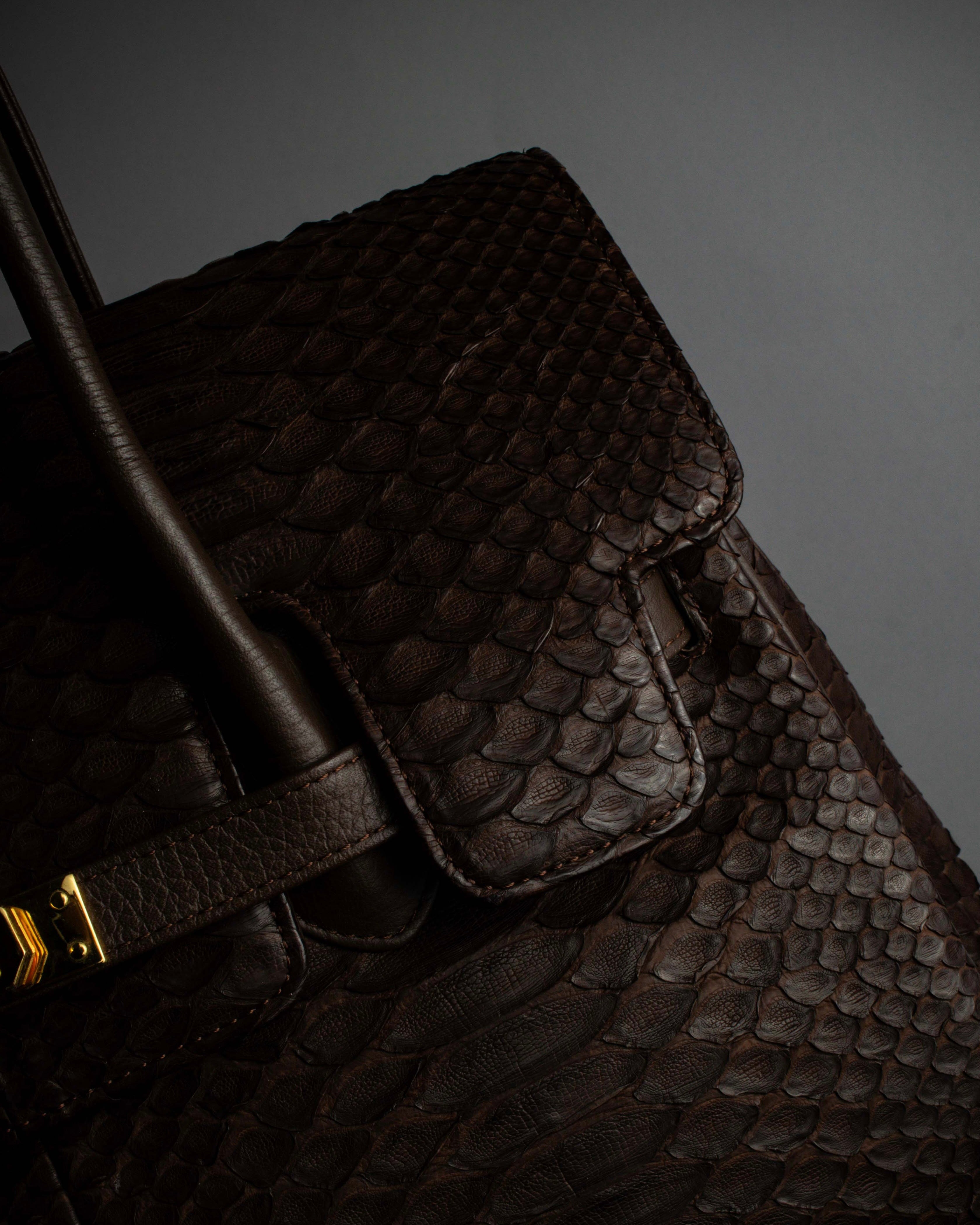 "Vintage turnlock design python leather bag"