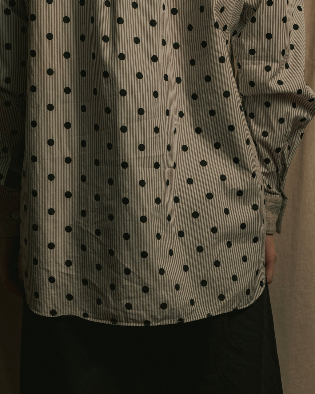 “COMME des GARÇONS HOMME DEUX” 17AW Polka dot stripe shirt