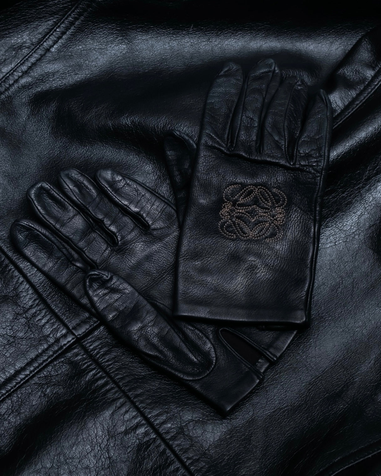 "LOEWE" embroidered leather gloves