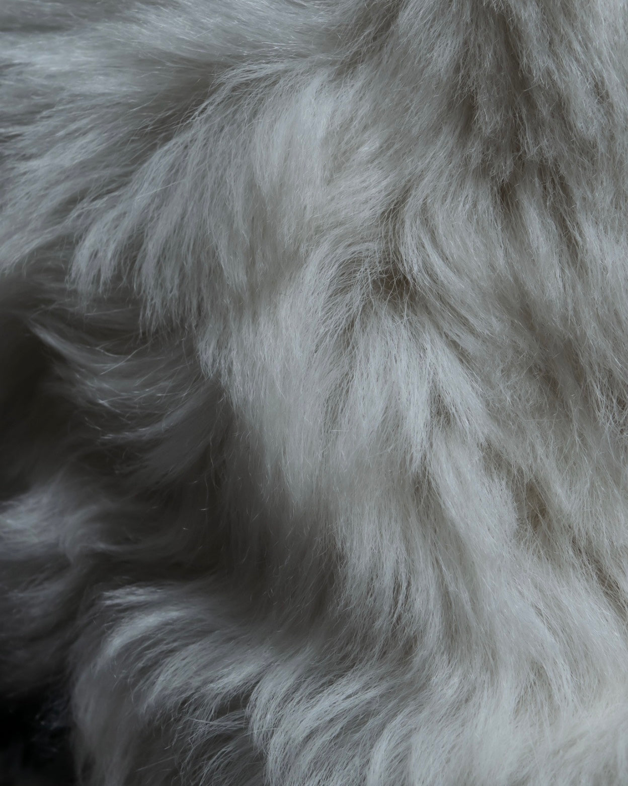 Fendi monster high heel boots 
22,800y