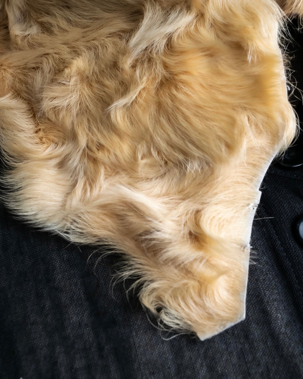 "FENDISSIME" lamb fur layered collar