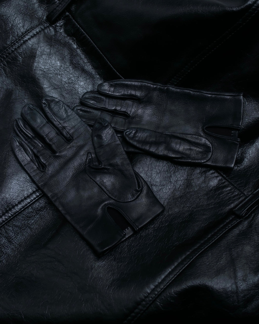 "LOEWE" embroidered leather gloves