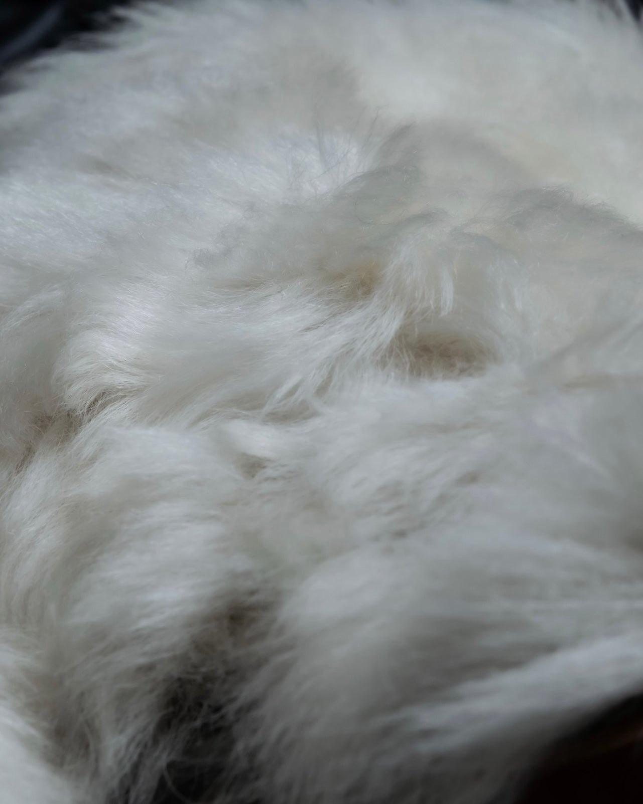 Fendi monster high heel boots 
22,800y