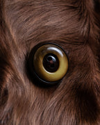 "MOOD SPECIAL" Beautiful Poodle Fur Double Breasted Coat