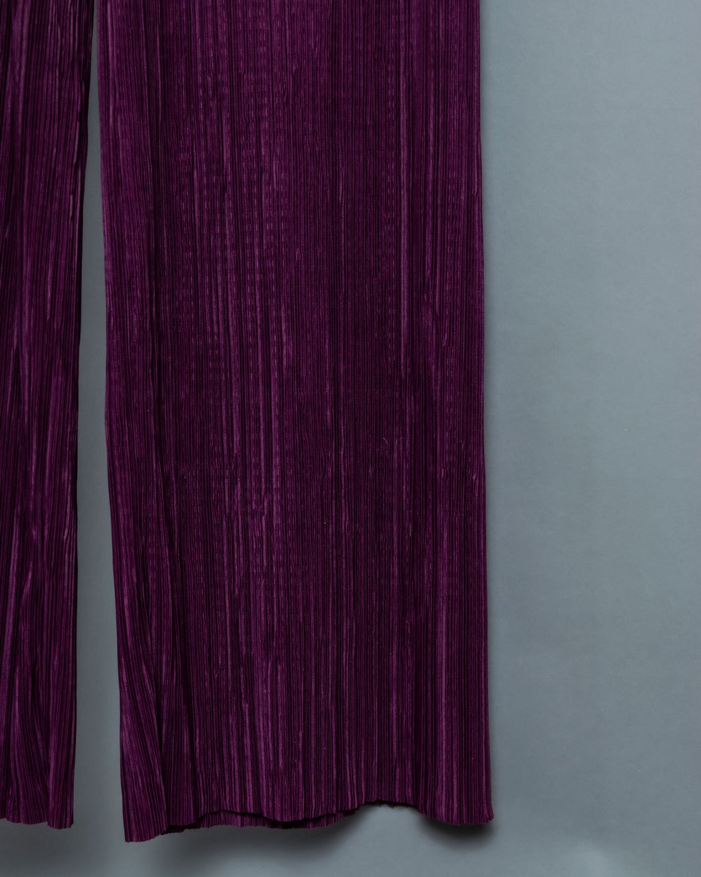 Beautiful Purple Pleated Pants