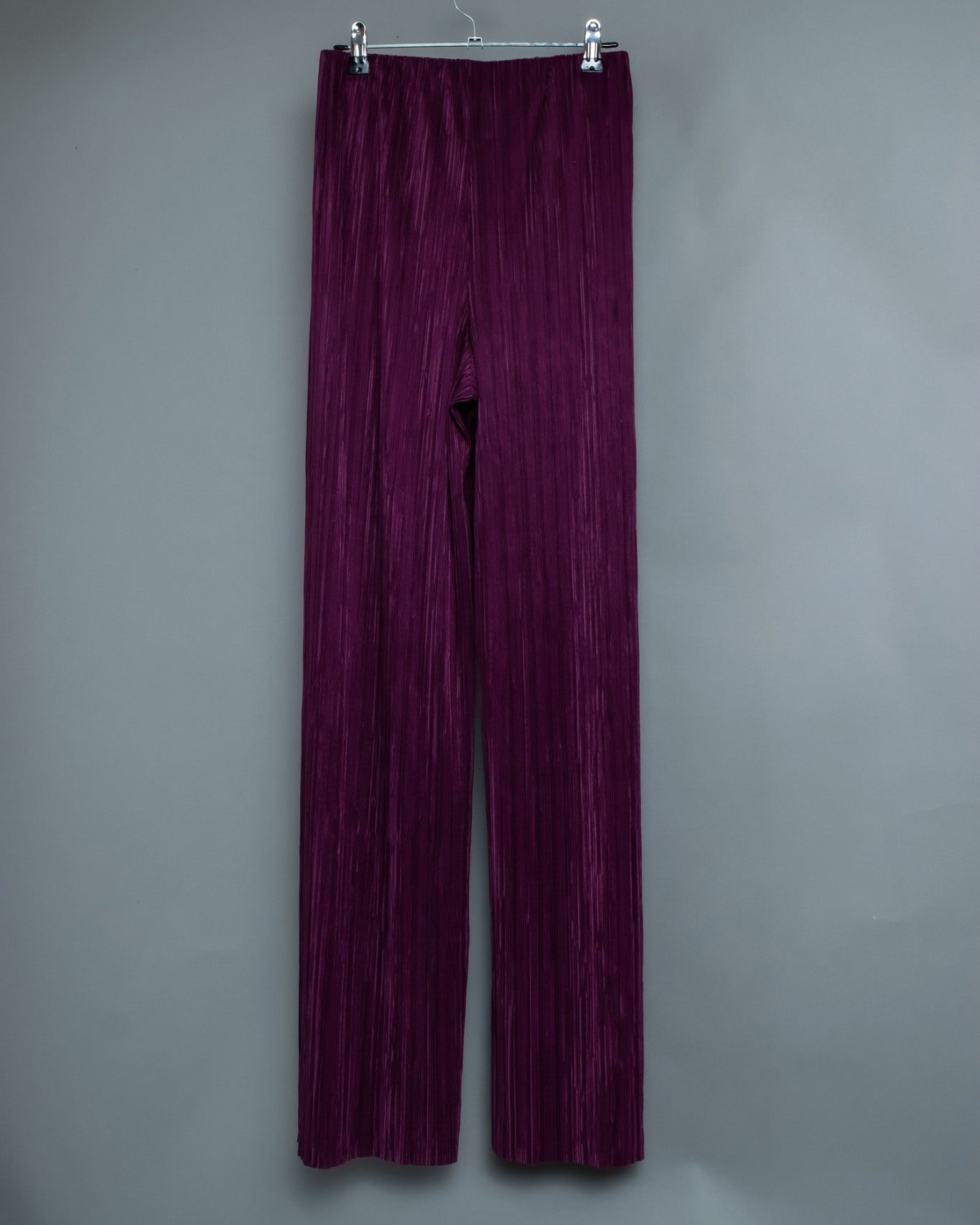 Beautiful Purple Pleated Pants